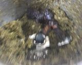 A picture of step 3 of Gongura pickle.