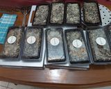 Foto langkah ke 8 dari resep Brownies leleh dan lumer.