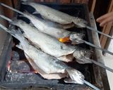 عکس مرحله 4 از دستور ماهی شکم پر کبابی🐟