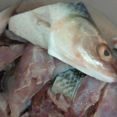 Langkah 1