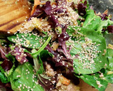 Foto del paso 19 de la receta: Ensalada de brotes tiernos y Espinacas con vinagreta de Mango
