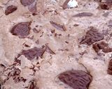 Foto del paso 4 de la receta: Súper BROWNIE sin manteca y con cacao en polvo 🍫☕