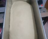 Foto langkah ke 3 dari resep Shokupan Poolish (Roti Tawar).