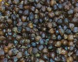 A picture of step 1 of Kala Chana Aloo Chaat.