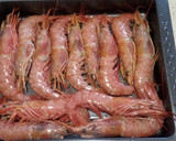Foto del paso 4 de la receta: Gambones al horno