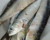 Foto del paso 1 de la receta: Sardinas en papillote con salsa de queso crema