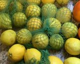 Une image de l'étape 2 de 🎁Panna 🥭cotta🍍 fête 🥳 les fruits exotiques🫐🥝.