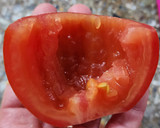 Foto del paso 6 de la receta: ✨💫 Torres de chenoa - Torre de panqueques con aprovechamiento de vitel tonné 💫✨
