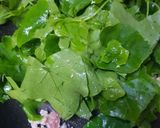 รูปขั้นตอนการทำที่ 1 ของ ตำลึงผัดไข่ใส่หมูสับ