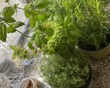 Une image de l'étape 12 de 🪹🍃Tapenade olive 🫒 noire herbes 🌿 de Provence🌶️🪻piment oiseau🌶️.