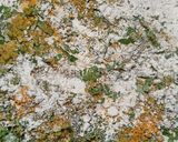મેથી પૂરી(Methi Poori Recipe in Gujarati) રેસીપી સ્ટેપ2ફોટો