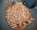 Foto langkah ke 5 dari resep Kacang Pedas Daun Jeruk.