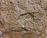 A picture of step 4 of Mutton curry.