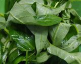 Foto langkah ke 1 dari resep Plecing Kangkung.