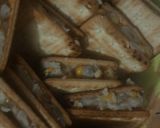 Foto langkah ke 3 dari resep Crackers isi Ragout.