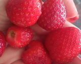 Foto del passaggio 4 della ricetta Mini Cheesecake Pan di Fragole e Cioccolato fondente al cucchiaio