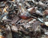 Foto langkah ke 2 dari resep Sambal Tongkol Suir.