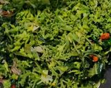 Foto langkah ke 6 dari resep Tumis Bunga Pepaya, Daun Pepaya, Teri.