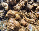झणझणीत चिकन तांबडा रस्सा (chicken tambda rassa recipe in marathi) रेसिपी स्टेप 6 फोटो 
