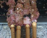 A picture of step 5 of Tsire (suya).