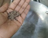 A picture of step 3 of Moong dal and galka(sponge gourd) nu shaak.