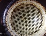 صورة لخطوة 3 من وصفة فريت اوملات ليه ليه ربع ساعة وناكلها 😋😋