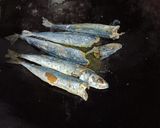 Foto langkah ke 2 dari resep Tumis Ikan Asin Rebus.