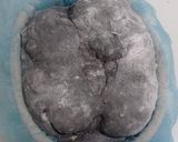 Foto langkah ke 16 dari resep Charcoal Wijen Chili Flakes Cheese Sourdough Bread (Open Bake Method).