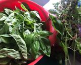 Foto del paso 1 de la receta: Salsa estilo "pesto", de albahaca 🌿 sin queso, con pistachos y piñones