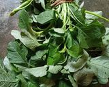 পুনকা শাক (punka saag recipe in Bengali) রেসিপি ধাপ - 1 ছবি