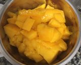 મેંગો કલાકંદ (Mango Kalakand recipe in Gujarati) રેસીપી સ્ટેપ1ફોટો