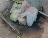 Foto langkah ke 2 dari resep 1021. Opor ayam putih.