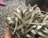 辣椒小魚干的食譜步驟1照片
