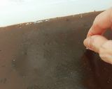 Foto langkah ke 2 dari resep Puding Lukis (Coklat-Vanila).