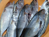 Pepes Ikan Kembung (Minim Daun Pisang)