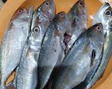 Foto langkah ke 1 dari resep Pepes Ikan Kembung (Minim Daun Pisang).
