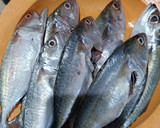 Foto langkah ke 1 dari resep Pepes Ikan Kembung (Minim Daun Pisang).