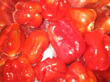 Fish sauces