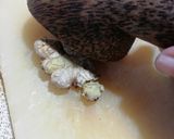 Foto langkah ke 2 dari resep 858. Bubur Beras Merah & Kacang Hijau.