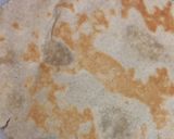 A picture of step 4 of Sorghum Flour Butter Garlic Roti.