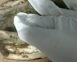Foto del paso 6 de la receta: 🍆 Berenjenas rellenas de salsa boloñesa 🥩