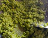 લીલા ચણા ની બરફી (Green Chana Barfi Recipe In Gujarati) રેસીપી સ્ટેપ4ફોટો