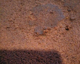 Foto del paso 1 de la receta: Mona de chocolate