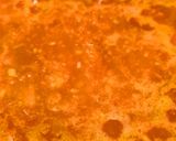 Foto del paso 5 de la receta: Paellita baja en sodio