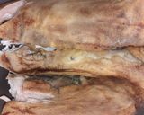 Foto del paso 1 de la receta: Cabeza de cordero con garbanzos