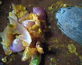 Foto langkah ke 1 dari resep Lodeh sayur campur.