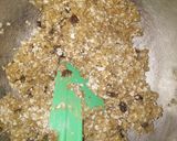Foto langkah ke 3 dari resep Crunchy oatmeal cookies.