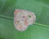 A picture of step 7 of Vrat Wale Heart Bites (Fasting Recipe).