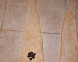 Foto del paso 10 de la receta: Croissants y chocolatines de masa danesa