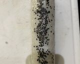 Foto del paso 11 de la receta: Sushi 🍣
